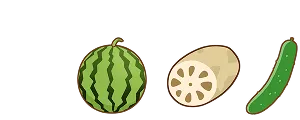 水分を補う夏野菜や果物のイラスト（スイカ・きゅうり・れんこん）