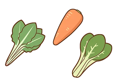 血を補う働きがある野菜のイラスト(ほうれん草とにんじん)