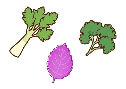 香りのよい香味野菜のイラスト(紫蘇・ブロッコリー・赤玉ねぎ)